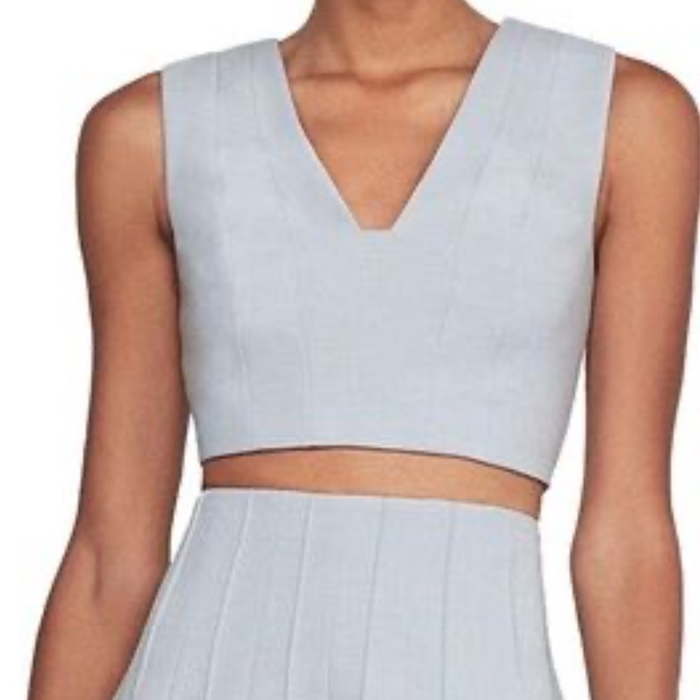 BCBGMax Azria crop top